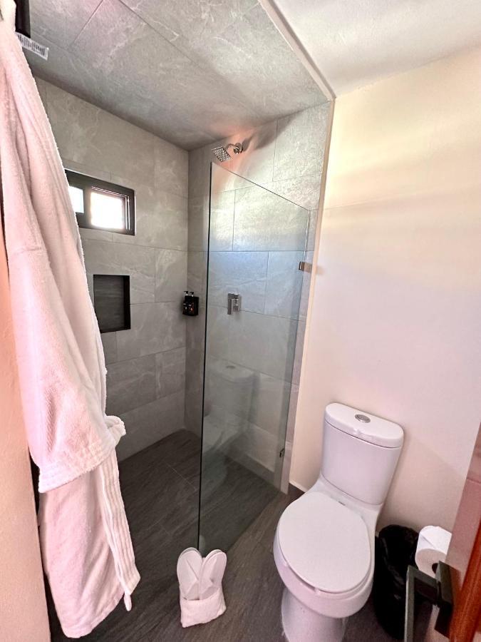 Suites Del Jardin Principal 瓜纳华托 外观 照片